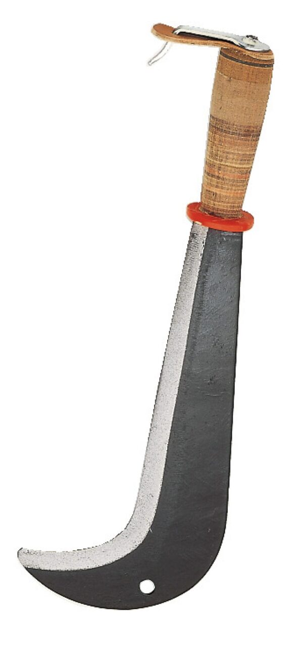 SEGHE PER RAMI